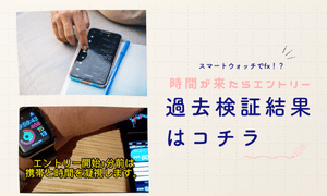 （過去検証やってみた）FXで過去検証結果を随時更新中！兼業・検証トレーダー　ビッシ過去検証一覧